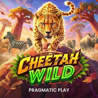 Cheetah Wild